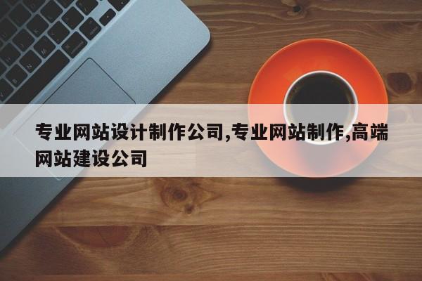 专业网站设计制作公司,专业网站制作,高端网站建设公司
