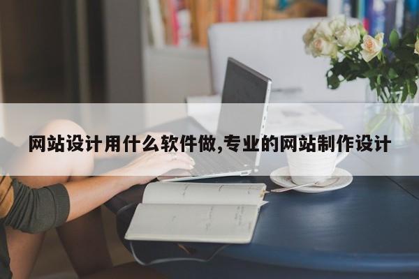 网站设计用什么软件做,专业的网站制作设计
